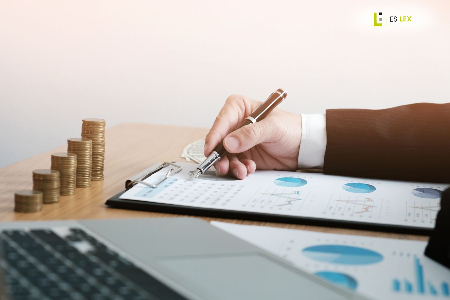 Control interno contable en empresas