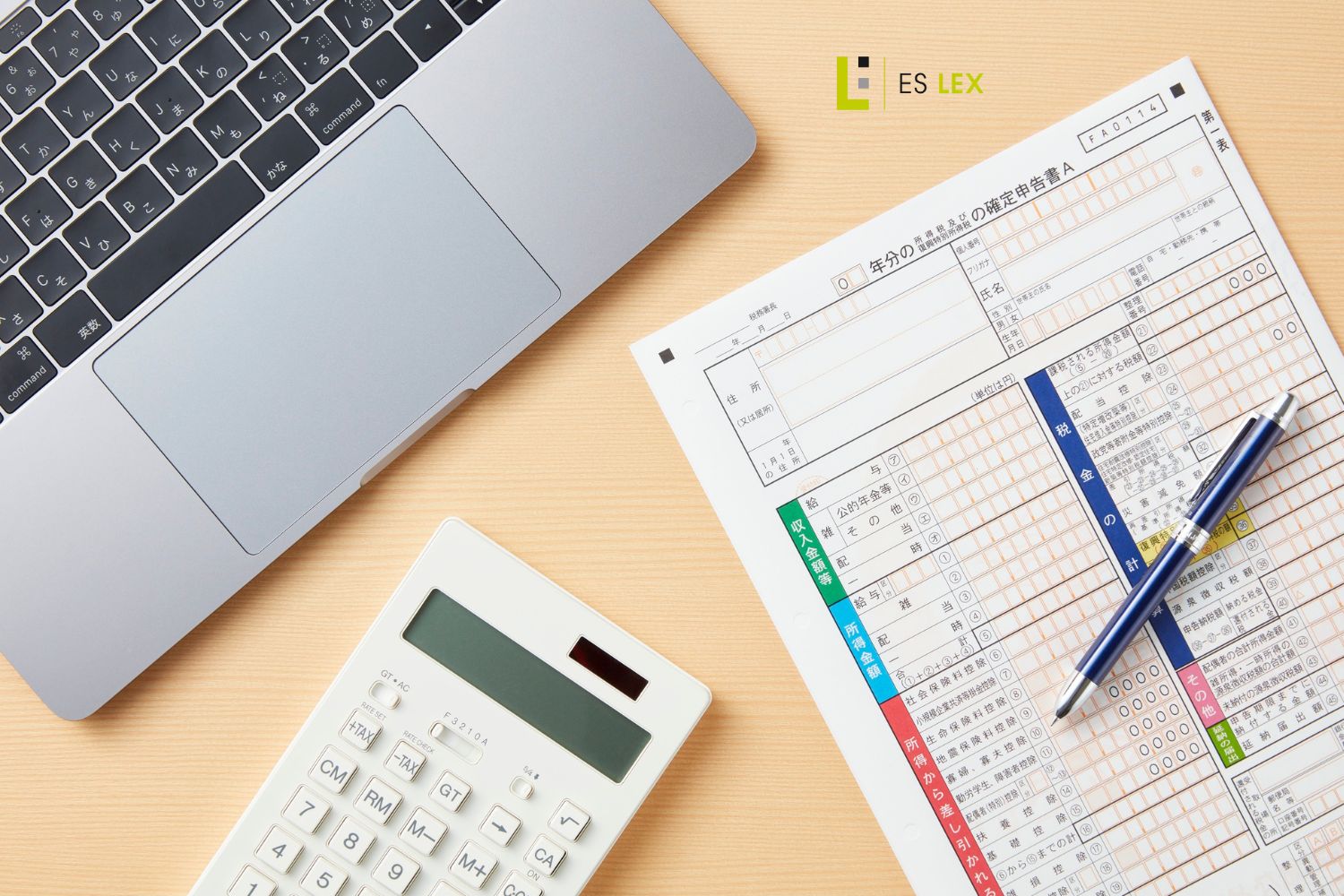 Regularizaci贸n Fiscal Voluntaria